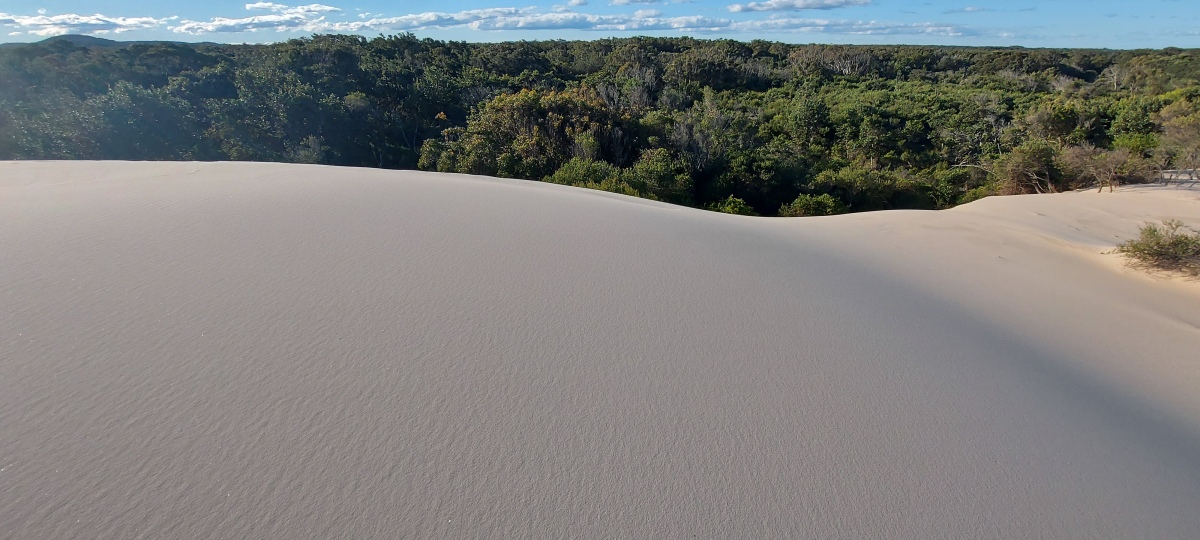 sand dune edge